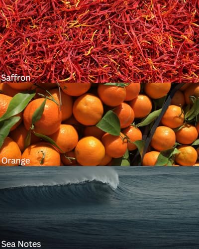 Image of TOXICMALE Tuscan Leather + Allure H Sport | Perfect Long lasting Men's perfume for Date & special ocassion | perfumes for men | Gift for him | TMA27 | 50 ml perfume | TM Perfume House