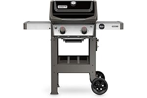 Weber E-210 Liquid Propane Grill: Perfect for Family Grilling