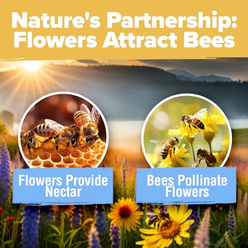 Image of HOME GROWN Wildflower Seed Mix - 89,000+ Pure USA Flowers | No Filler Bulk Supply for Outdoor Planting | 19 Perennial & Annual Varieties | Butterfly Garden | 3 oz