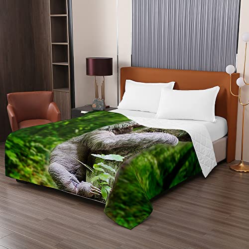 Odot Colcha Bouti de Verano, 3D Pereza Estampado Suave Microfibra Multiusos Cubrecama Lavable Acolchada Edredón Manta para Cama de Infantil Individual Matrimonio (150x200cm,Tropical)