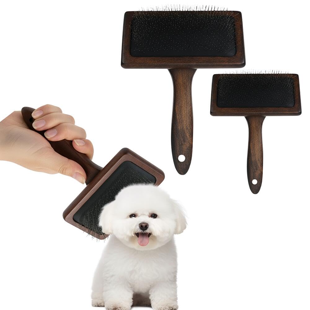 Amazon.co.jp: Lifetips ビションフリーゼ犬 ビション ペット用