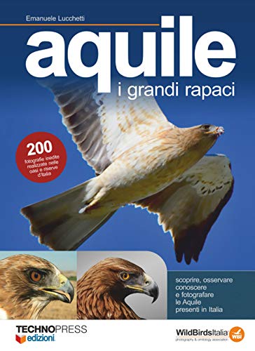 Aquile. I grandi rap