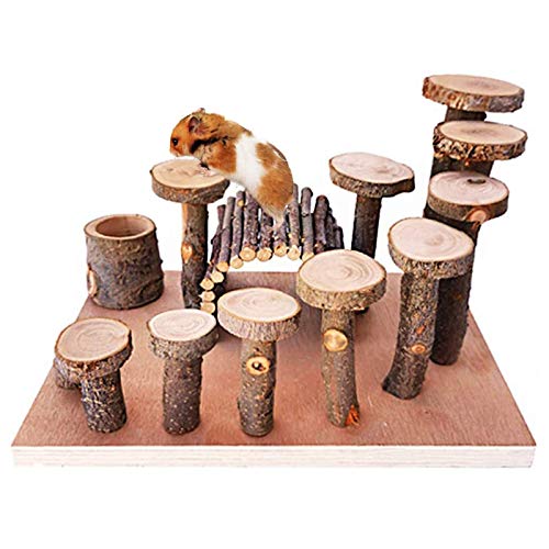 Curated visual reference: Gallery Detail: 10 Must Have Chinchilla Playgrounds To Keep Your Furry Friend