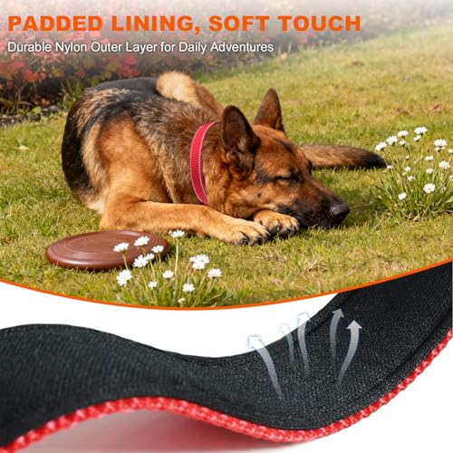 Taglory Hundehalsband, Weich Gepolstertes Neopren Nylon Hunde Halsband für Große Hunde, Verstellbare und Reflektierend für das Training, Rot