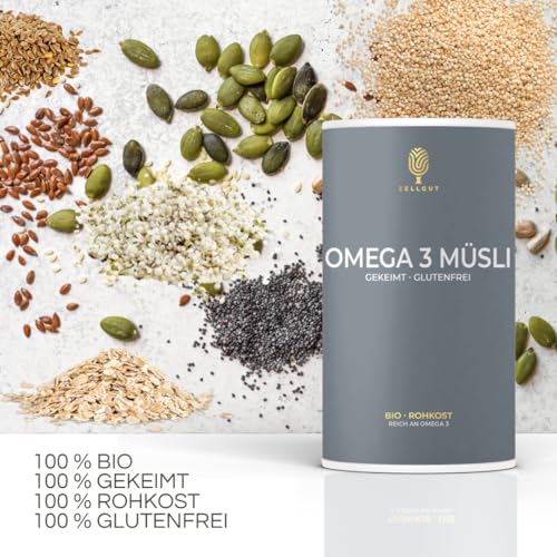 gekeimtes OMEGA-3 Müsli • 100% Rohkost • Basisch • reicht an Omega-3 • glutenfrei • vegan • Bio