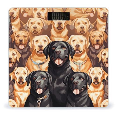 Báscula Digital Precisa con Diseño Labrador Retriever miniatura 1