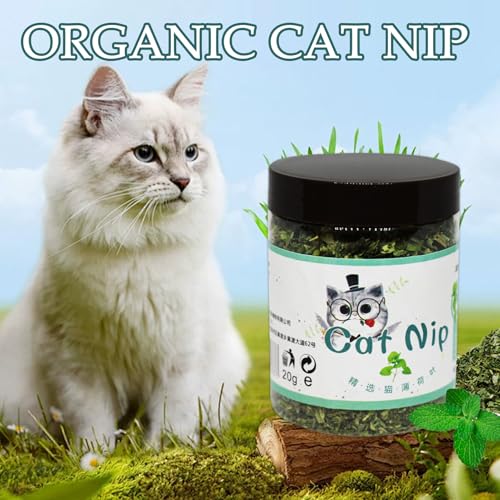 Cat Nip Cats, Safe Natural Catnip Treats, Non Addictive Organic Herb, Entertainment Plant, Calming Stimulation Aid for Indoor, Kitten, Food, Play, Relaxation 2.56x3.35 inches – Image 5