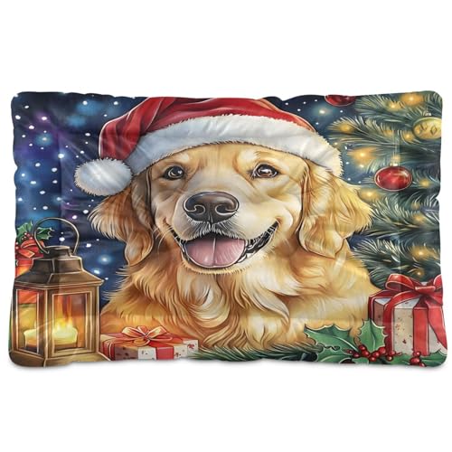 zyrtty Dog Bed Mat Soft & Comfortable Dog Kennel Pad