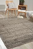 Nourison Home Amore Stone 7'10' x 10'10' Area Rug - Easy Clean, Non Shedding, Bed Room, Living Room, Dining Room, Kitchen (8' x 11')