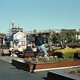 �T�j�[�r�[�g