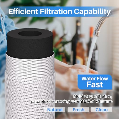 Image of ICEPURE 1 Micron 20 inch x 2.5 inch Whole House CTO Carbon Sediment Water Filter Cartridge, 20-inch Sediment Pre-Filtration Compatible with C1-20, EP-20, HX-CB-25-2010, F3WCB32, 2PACK