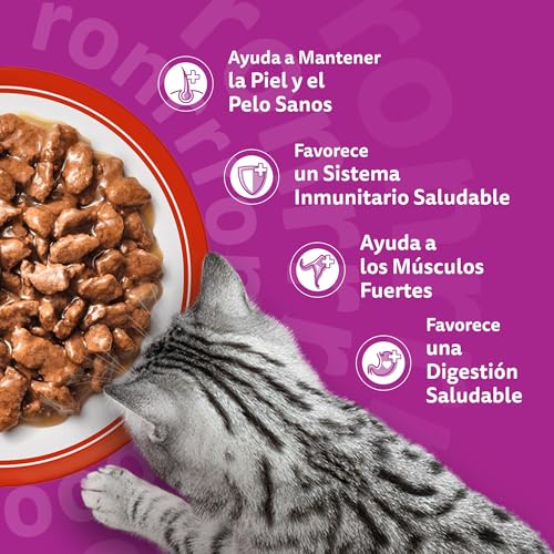 Miniatura 5 de Whiskas Comida Húmeda en salsa para Gatos Selección Clásicos 13 x 4 bolsitas x 85g