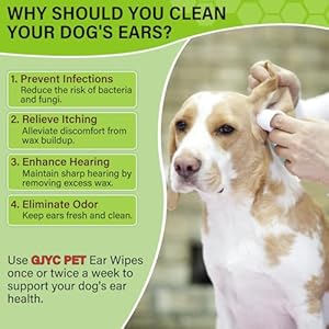 Dog-Ear-Wipes-Cat-Dog-Ear-Cleaner-Puppy-Ear-Wipes-Wash-Cleaner-for-Dogs-Cats-100-Wipes-for-Dog-Cat-Ear-Cleaning-Remove-Ear-Wax-Dirt-Debris-for-Dogs-Cats-Ear-Infection-Treatment-Wipes - Cucciolini Doodles   Dog-Ear-Wipes-Cat-Dog-Ear-Cleaner-Puppy-Ear-Wipes-Wash-Cleaner-for-Dogs-Cats-100-Wipes-for-Dog-Cat-Ear-Cleaning-Remove-Ear-Wax-Dirt-Debris-for-Dogs-Cats-Ear-Infection-Treatment-Wipes