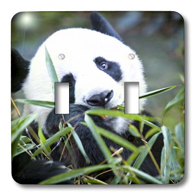 Interrupteur à bascule double décoratif panda 3dRose LSP_70146_2 - 3