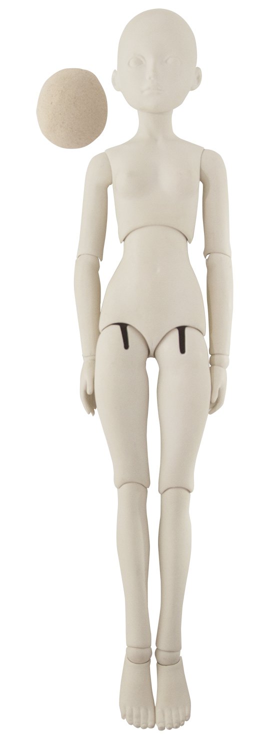 しろ 人形と両手 Amazon | パジコ ドールキット 球体関節人形 アリス ロック