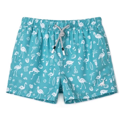 Image of SURF CUZ Boys Swim Trunks Toddler Swim Shorts UPF 50+ Bathing Suit for Boy Swimsuit Quick Dry Mesh Beach Boardshorts Swimwear