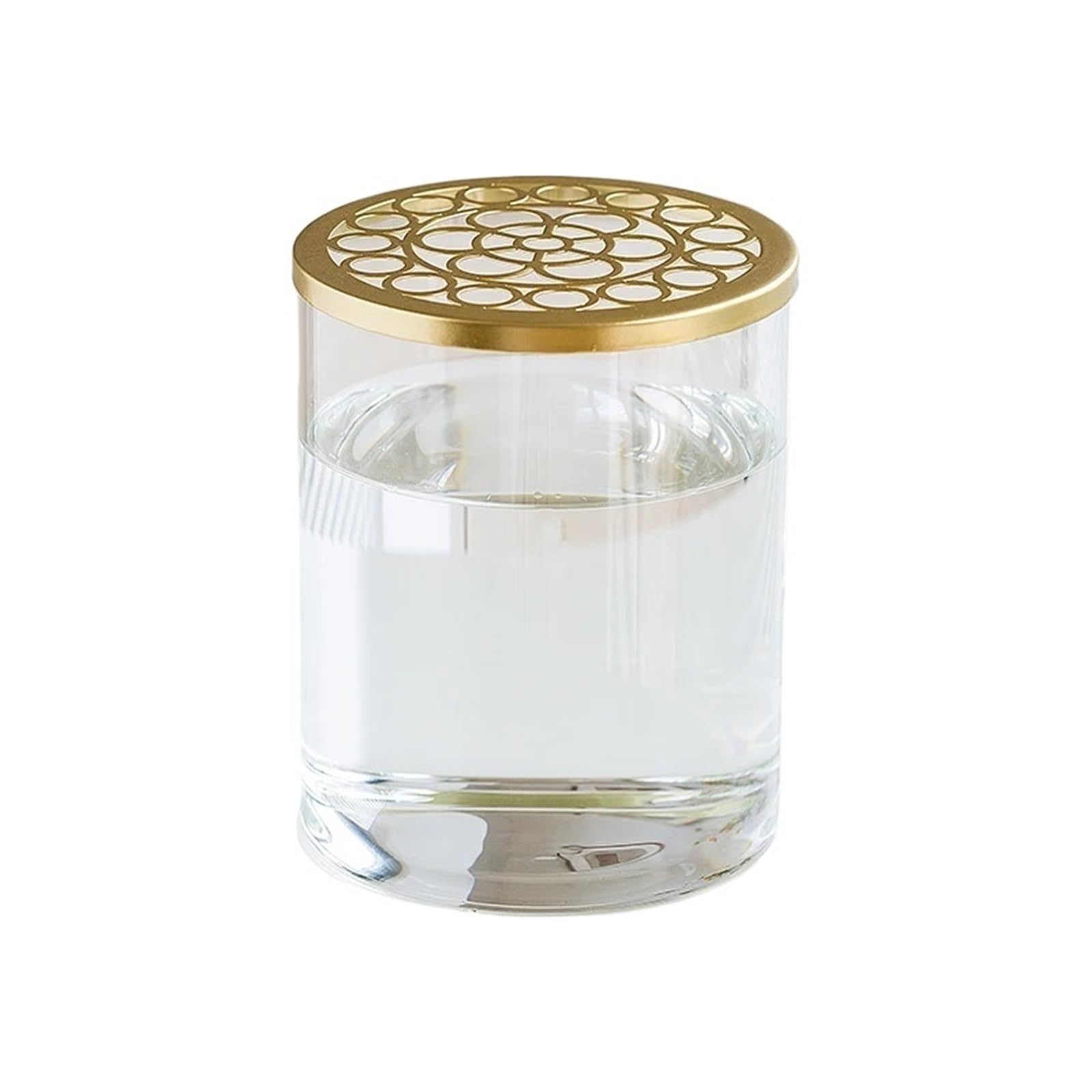 Vase Hydroponique Verre Couverture de Grille en Verre Transparent Simple, Vase Fleurs, décoration Salon, Fixation Plantes hydroponiques(12 * 15 Vase+Round Hole Cover)