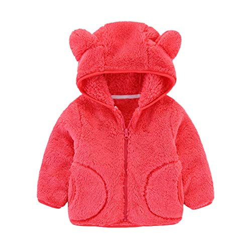 Toddler Boys Girls Hooded Jacket Baby Hoodie Winter Warm Solid Color Coat Zip-up Bear Ear Sweater Fall Clothes