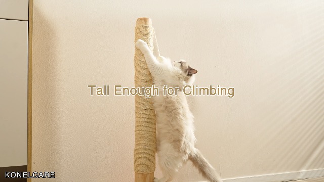 KONELCARE Premium 35" Cat Scratching Post – Natural Pear Wood, Sisal Rope, Rubber Wood Base with Oak Skin, Ideal for Large Cats, Free Rope Replacement - image 7