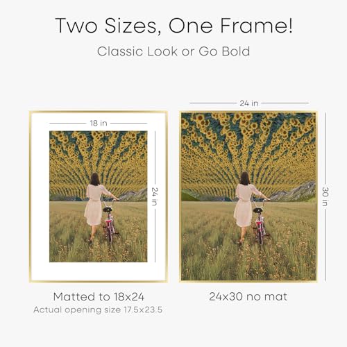 Image of Homeforia 24x30 Picture Frame Gold, High End Metal 24 x 30 Poster Frames with 18 by 24 Mat Opening, 24x30 Gold Photo Frame Matted to 18x24 Print, 30x24 Large Frames, Tempered Glass, Wall Kit, Set of 2