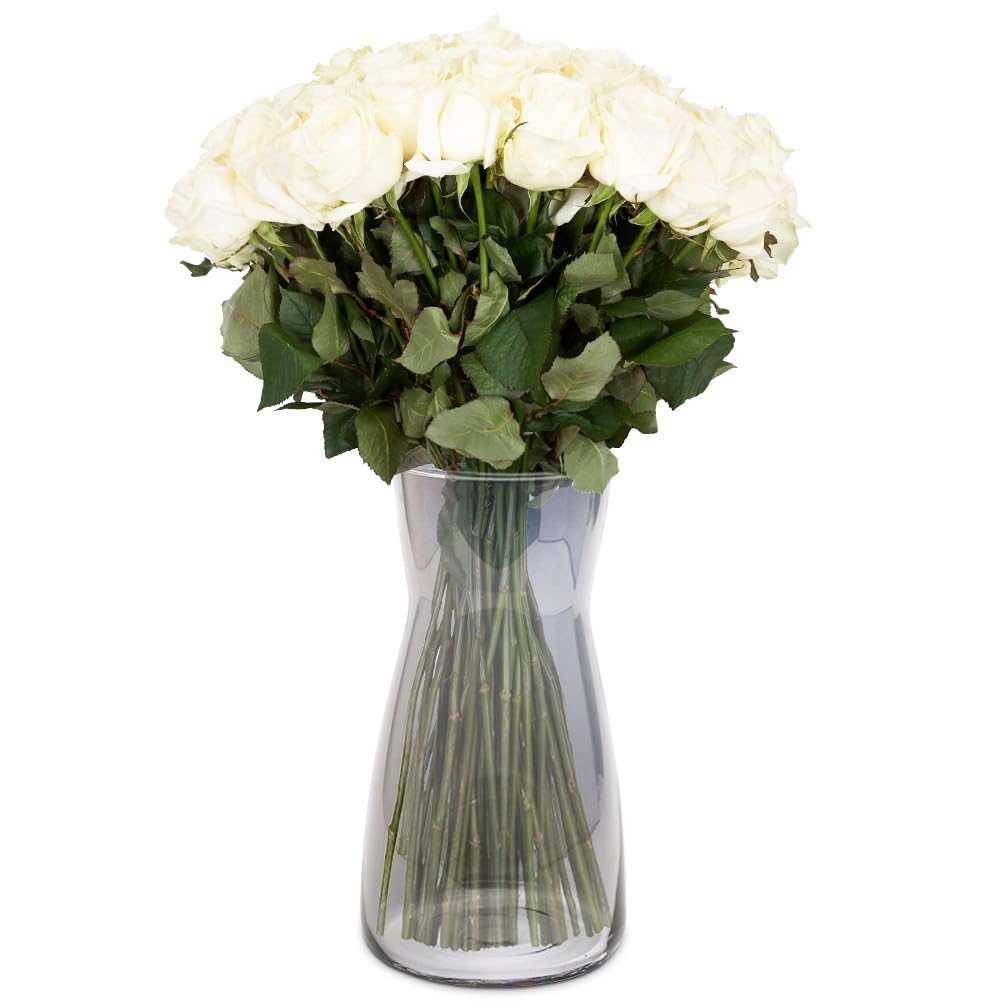 Gohytal Florero de cristal, jarrón de cristal, redondo, 20 cm de alto, jarrón de cristal para decoración de mesa, jarrón decorativo para hierba de Pampas, tulipanes, orquídeas, rosas, flores secas