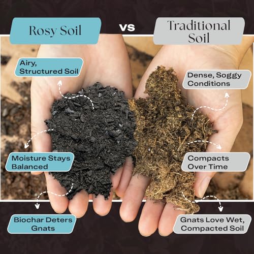 Image of Rosy Soil Houseplant Potting Soil, Organic Indoor Potting Mix, 8 Quarts (Pack of 2)