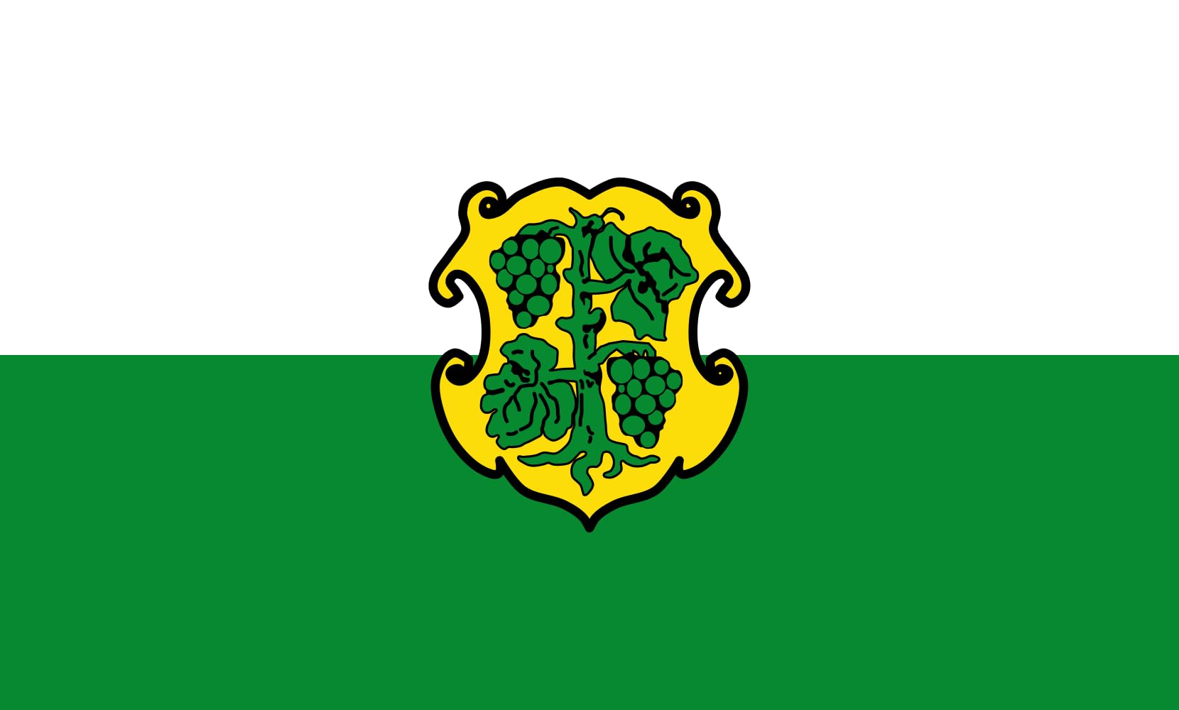 Drapeau Dingolshausen grand format paysage 1.35m² pavillon pour mât extérieur