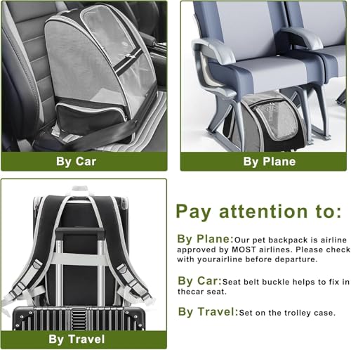 Image of Cat Backpack Carrier, Breathable Cat Carrier Pet Backpack for Kitty Small Dog Up to 15Lbs, Transparent & Foldable Pet Carrier for Travel Hiking (Expendable Black)