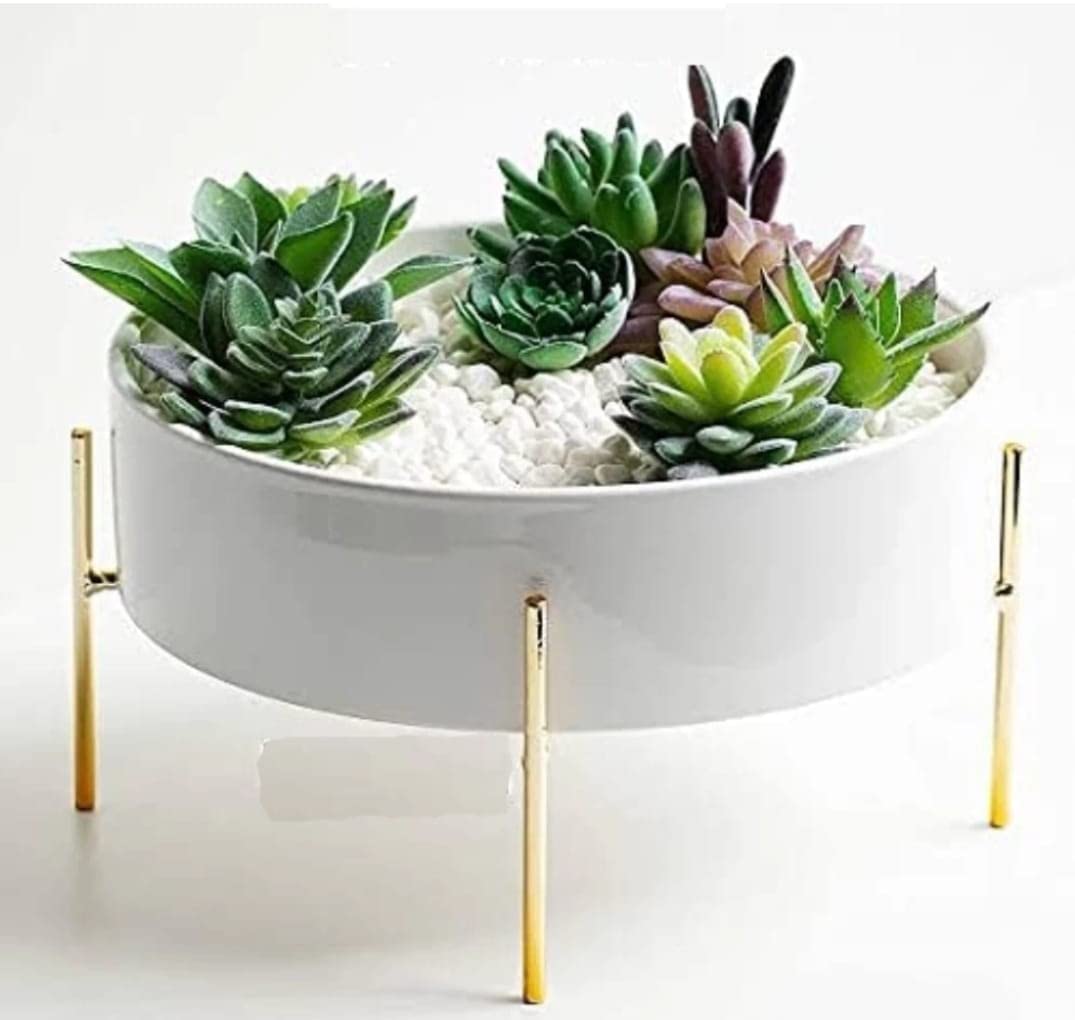 CHROMIX Flower Pot Plant Stand with Pot / Indoor Outdoor Stand with Pot Round Plant Stand , , White/Gold (B0C61PYNQJ) Amazon Price History, Amazon Price Tracker