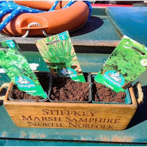 The Seeds of Spring ('Somewhere, right now')