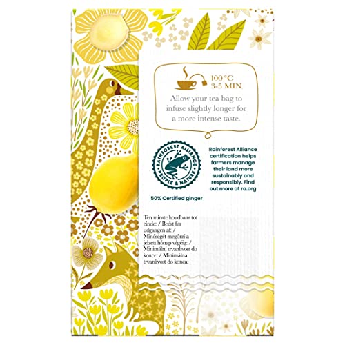 Pickwick Joy Of Tea Ginger Spices Kruidenthee met Citroenverbena, Gember, Citroengras en Anijs (60 Theezakjes, 100% Natuurlijk), 4 x 15 Theezakjes - Afbeelding 5