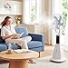 Imagen de HOMCOM Ventilador Nebulizador, 90W