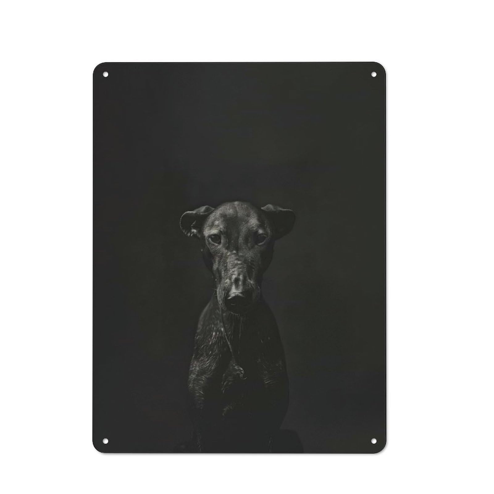 Black Dog Portrait Metal Wall Art Sign 40x30cm, Old Fashioned Nostalgic Wall Art for Living Room, Hallway, Kitchen Or Cafe