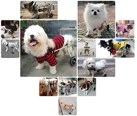 Adjustable Dog Wheelchair for Hind Legs - 2 Wheels Pet Mobility Harness for Handicapped Small Dogs, Puppies & Doggies - Ideal for Rehabilitation & Training