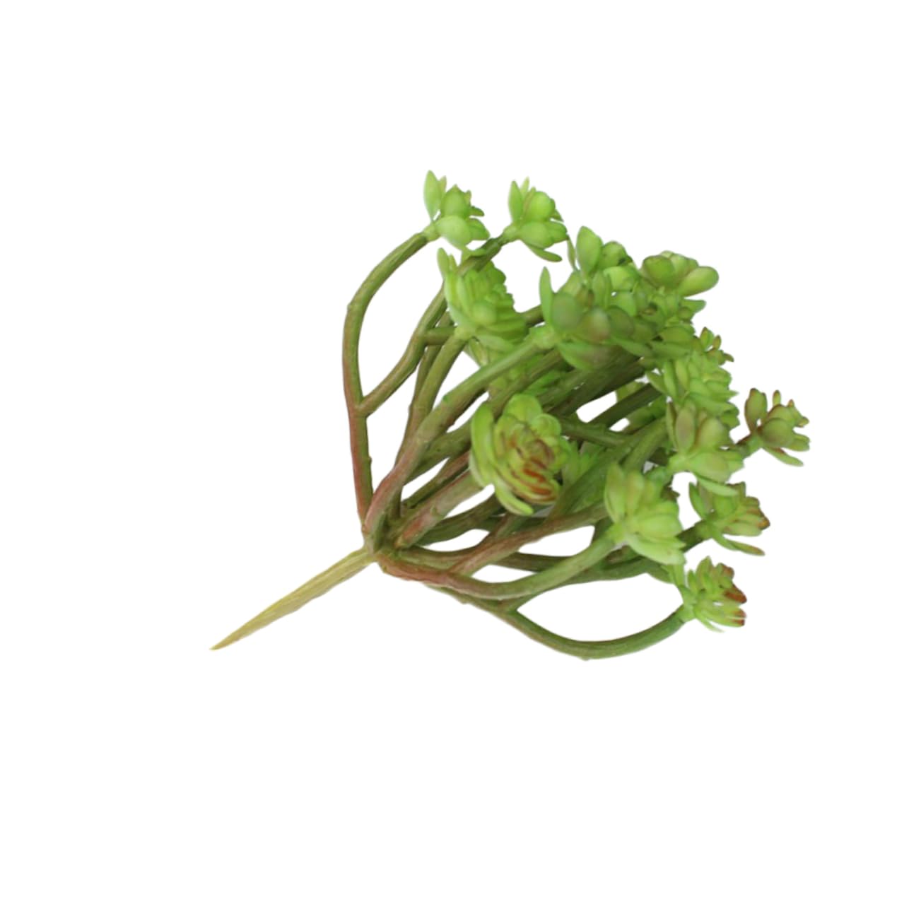 Cabilock Plantes Grasses Artificielles Fausses Succulentes Décorations Intérieures pour Arrangements Floraux