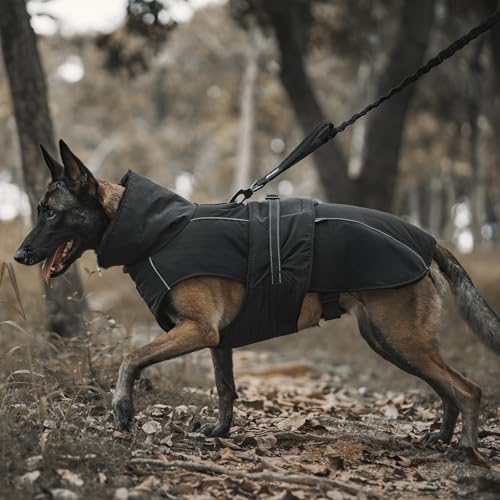 OneTigris Hundemantel, STORMWALL Wasserdicht Hundejacke mit Verstellbarer Rückenlänge Fleecefutter Reflektierend und Fellkragen für Wanderungen Outdoor für Mittelere & Große Hunde Schwarz M
