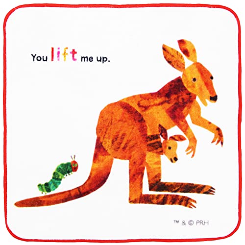 (Hayashi) ~j^I 25×25cm ͂؂ނ ACu JK[ PM463700