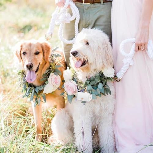 JYNVO Weißer Ringhalter für Hunde, Leder, Ehering-Pad, Box für Haustier, Ringhalter-Pad für Hundehalsband, Ehering-Tasche, Hochzeitszubehör, Geschenk