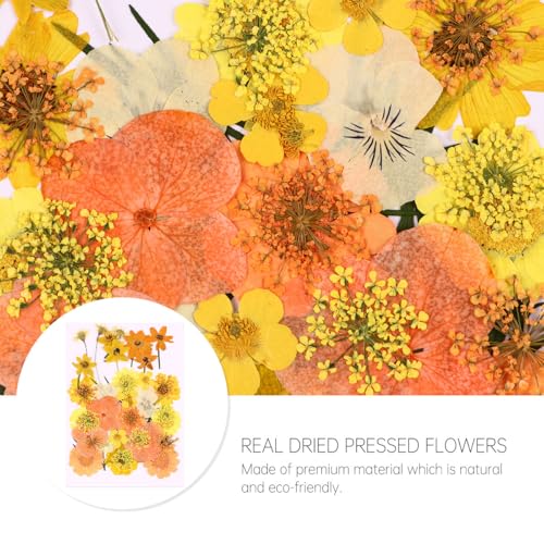 40 Piezas Flores Secas Naturales Naranjas para Manualidades miniatura 3