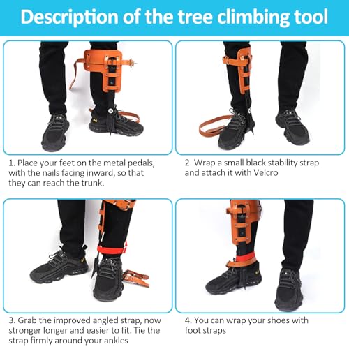 Image of Tree Climbing Gear, Tree Climbing Spikes, Tree Climbing Gear with Adjustable Climbing Straps and Steel Core Flip Line, Rock Climbing Kit with Triple Lock Lanyard Adjuster