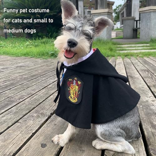 Disfraz Halloween Magician para Perros y Gatos Tamaño M miniatura 2