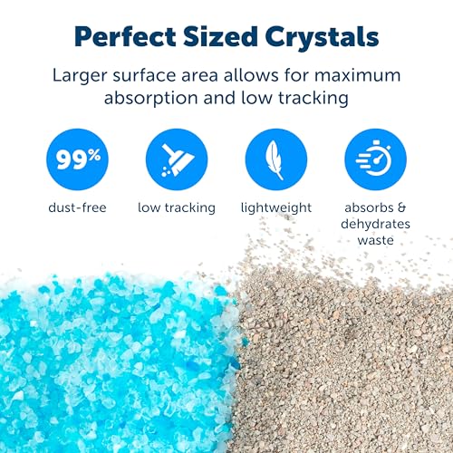 Image of PetSafe ScoopFree 4.3 lb Bags Premium Crystal Cat Litter - Outperforms Clay Litter - Refill Packs - Reusable Tray Compatible - Fresh Scent (Pack of 8)