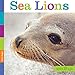 Seedlings: Sea Lions