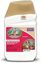 Bonide Captain Jack's Deadbug Brew, 16 oz Concentrate Outdoor Insecticide and Mite Killer for Organic Gardening
