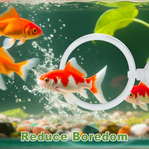 Image of 2 Pcs Betta Fish Exercise Ring and Betta Mirror Set,Betta Ring Enrichment Toys,Betta Toys Suitable for Fish Tank, Betta Tank, Betta Aquarium