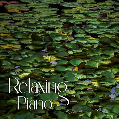 Wind Down with Relaxing Piano with Gray Treefrogs - 4 Hours - "Eleven Twenty Three PM"