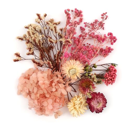 Trockenblumen Zum Basteln, Natürliche Getrocknete Blumen,...