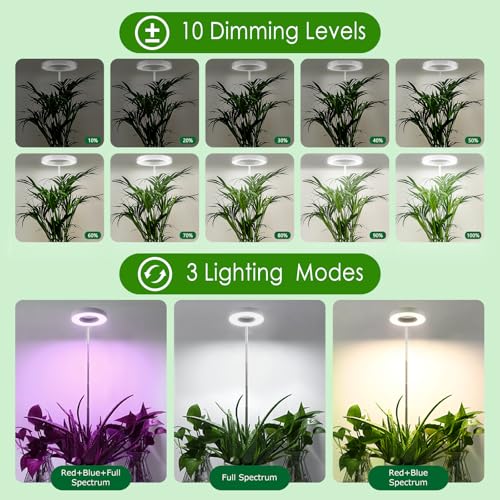 EINFEBEN Pflanzenlampe Vollspektrum,LED Grow Lampe 15W,mit Rot Blau Licht,Pflanzenleuchte für Zimmerpflanzen Gemüse und Blumen im Gewächshaus 3 EINFEBEN Pflanzenlampe Vollspektrum,LED Grow Lampe 15W,mit Rot Blau Licht,Pflanzenleuchte für Zimmerpflanzen Gemüse und Blumen im Gewächshaus – Bild 3