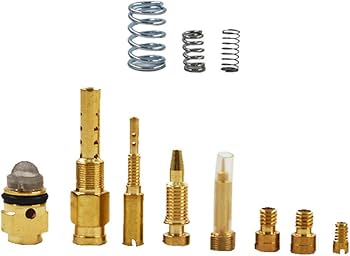 Amazon.com: labwork Carburetor Carb Repair Kit Replacement for
