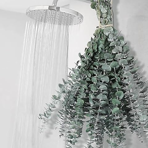Gifugi 12 PCS Preserved Eucalyptus Stems for Shower Cover